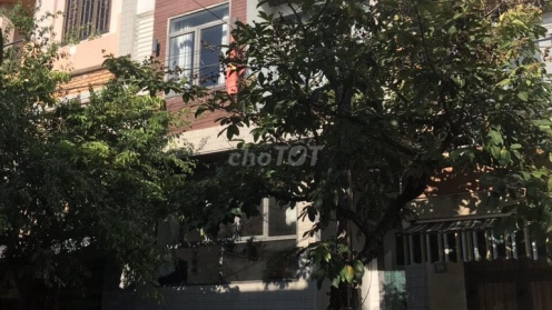 Bán nhà đường Nguyễn Thiếp diện tích 85m2 giá 10 tỷ
